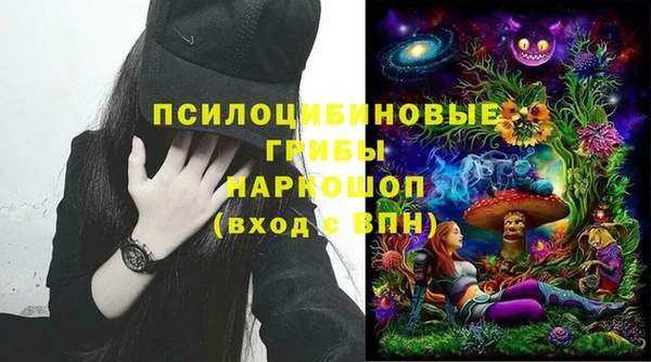 spice Магас