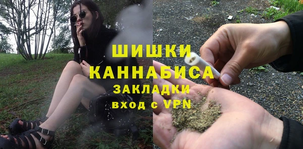 ПСИЛОЦИБИНОВЫЕ ГРИБЫ Майский