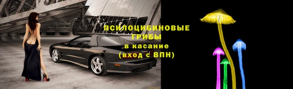 СК Магадан