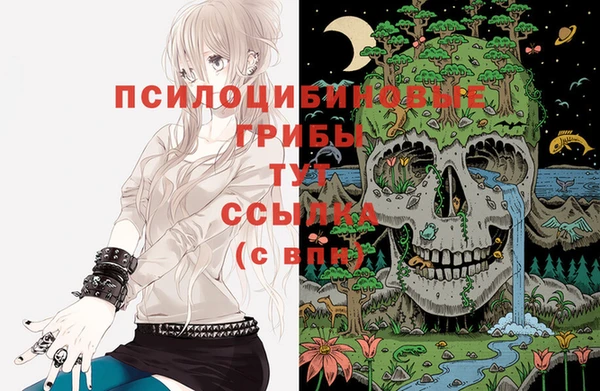 ПСИЛОЦИБИНОВЫЕ ГРИБЫ Майский