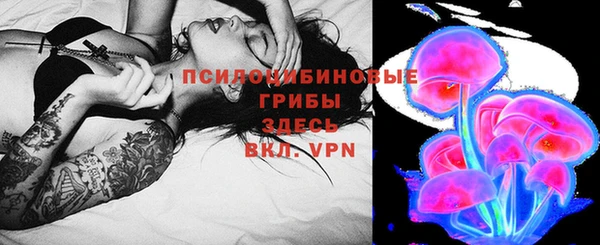 apvp Ачинск