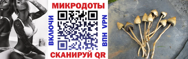 Псилоцибиновые грибы мицелий  hydra онион  Янаул 